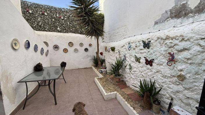Step into a world where tranquility and luxury blend seamlessly ! in Knysna