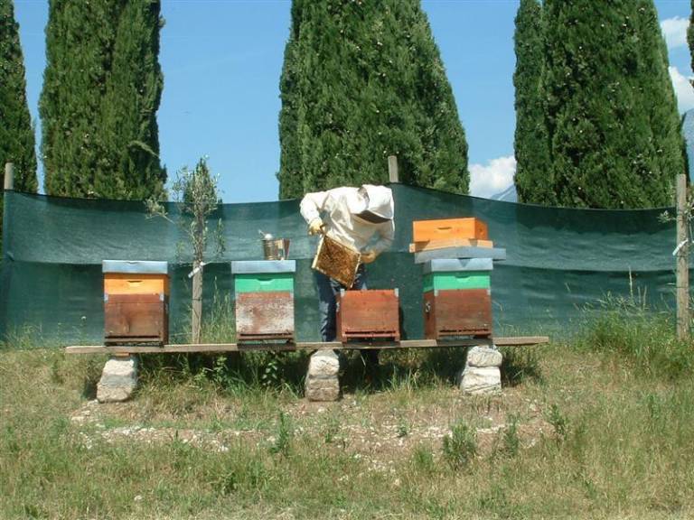 foto14