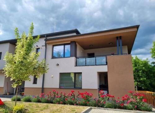 Apartman  Székelyudvarhely