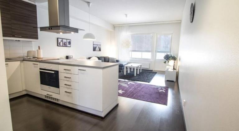 Kotimaailma - One bedroom with sauna and balcony — photo 3