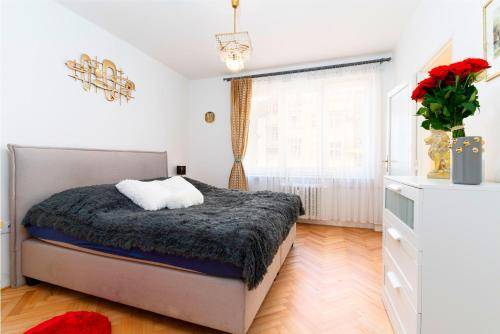 Apartament Nowe Miasto