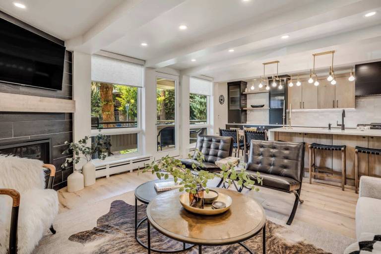 Apartment Aspen