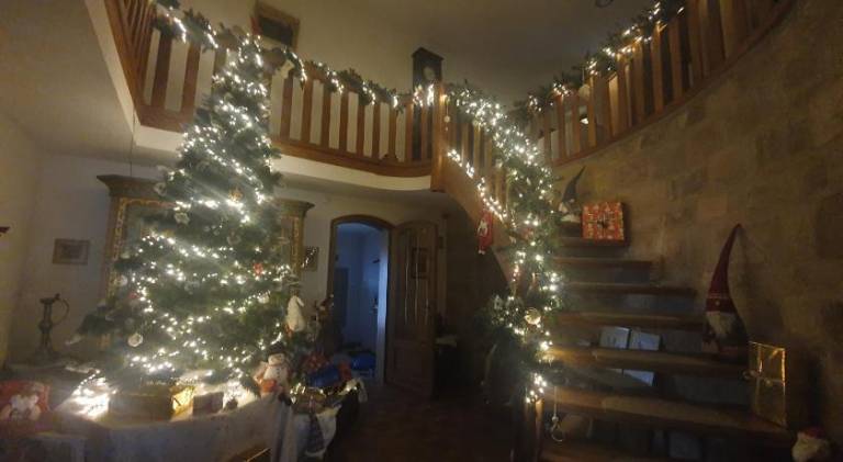 foto21