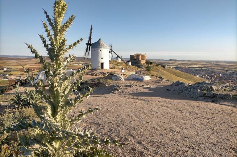 Casa Consuegra