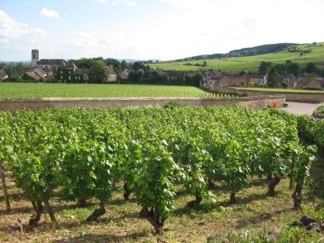 Maison de vacances Meursault