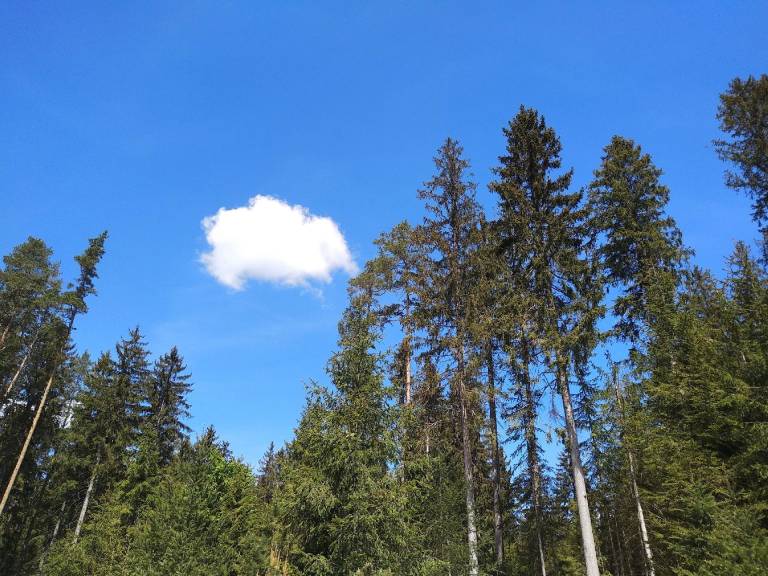 foto23