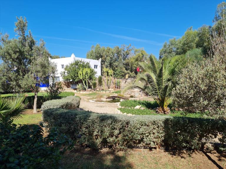 foto49