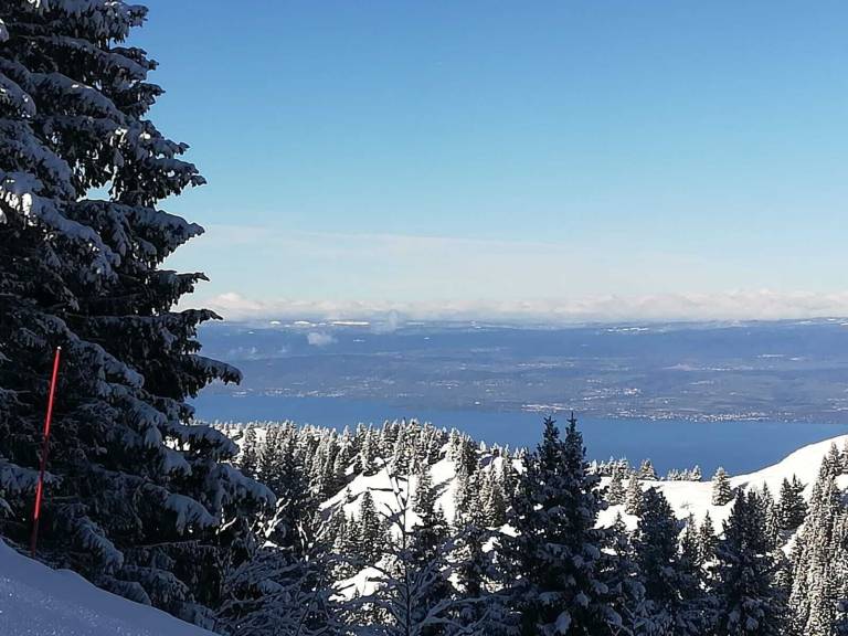 Chalet Thollon-les-Mémises