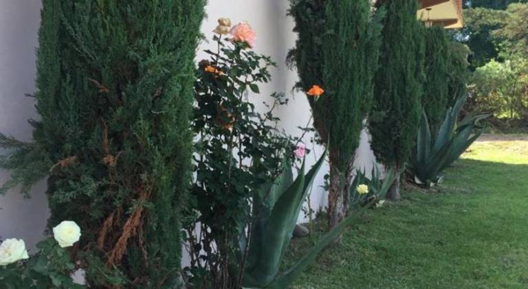 foto44