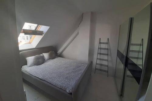 foto11