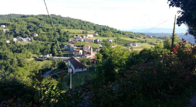 foto19