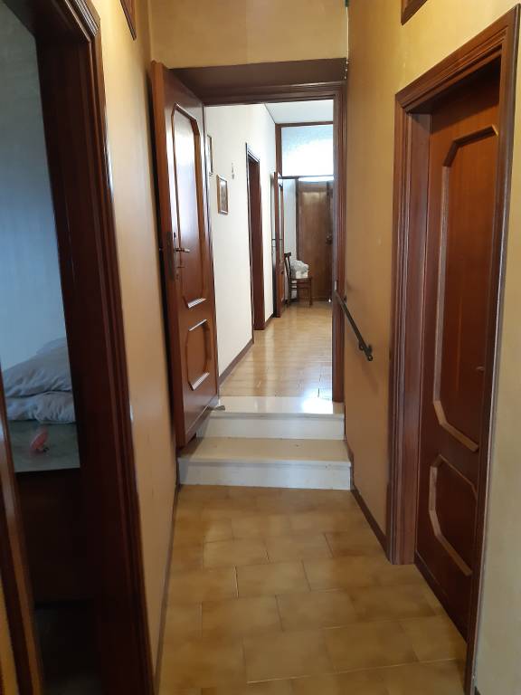 foto11