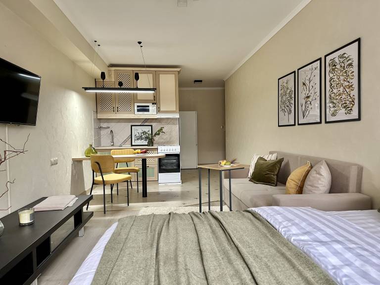 Apartment  Almaly District