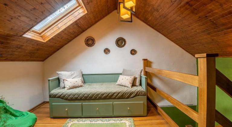 House | Pet-friendly in Brasov