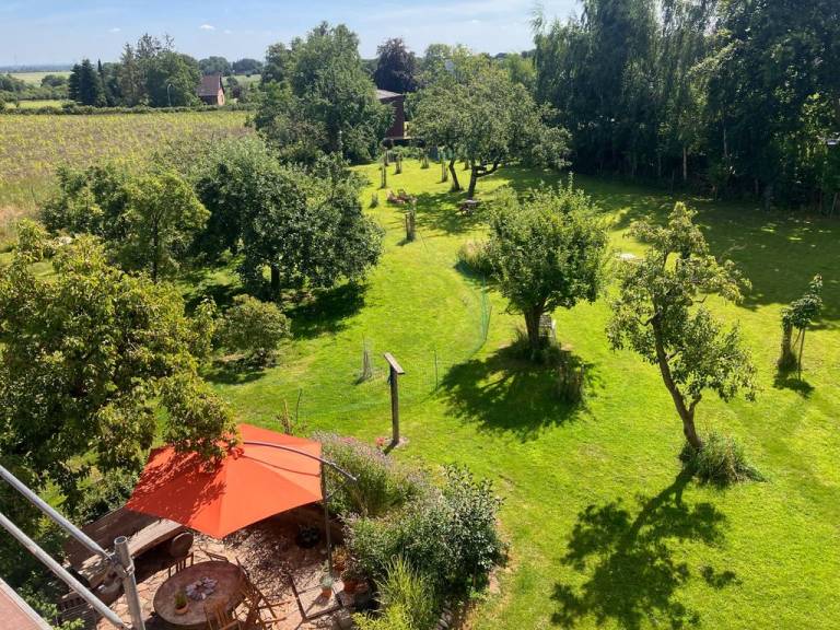 foto17
