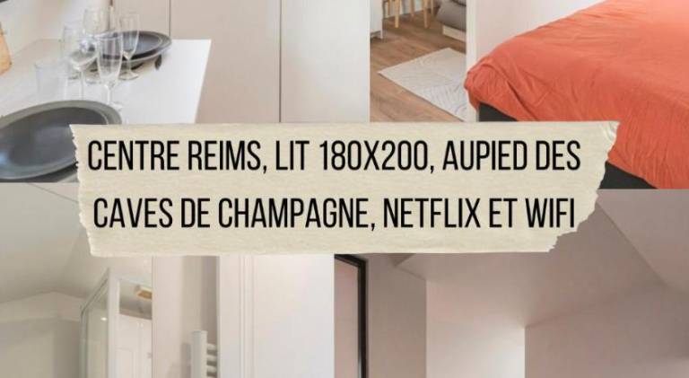 Pleasant holiday apartment | Dogs allowed in Bezannes