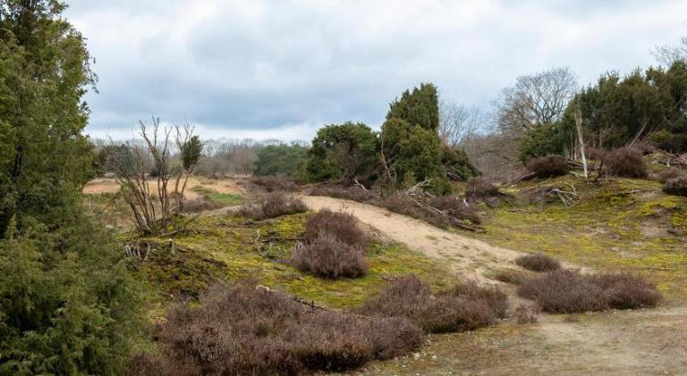 Studio in rietgedekte boerderij geheel prive hond vriendelijk