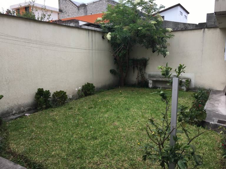 foto11