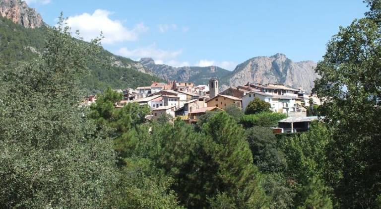 Pleasant rental apartment | Pets are welcome in Lleida