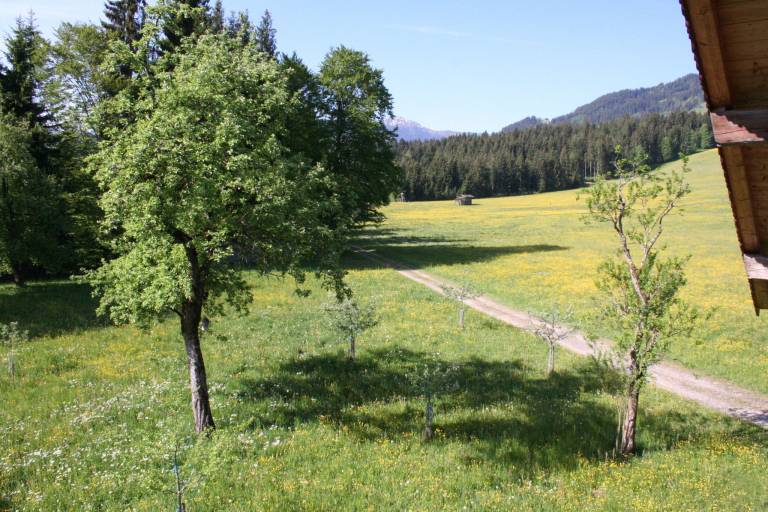 Beautiful farm with terrace & garden | Mountain view | Pets are welcome — photo 4
