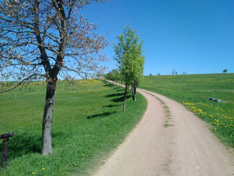 foto22