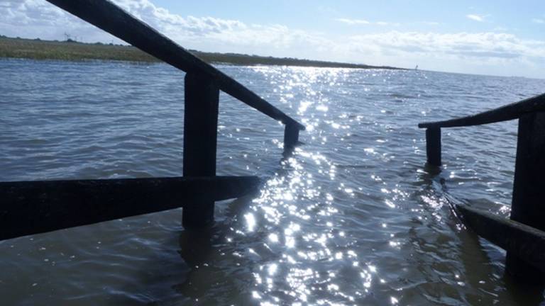 Ferienhaus  Wurster Nordseeküste