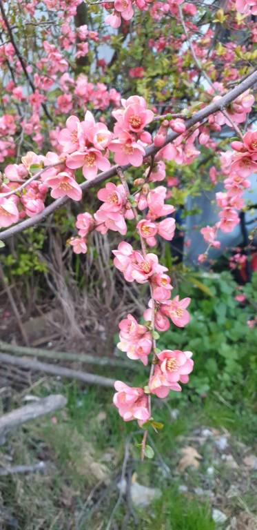 foto15