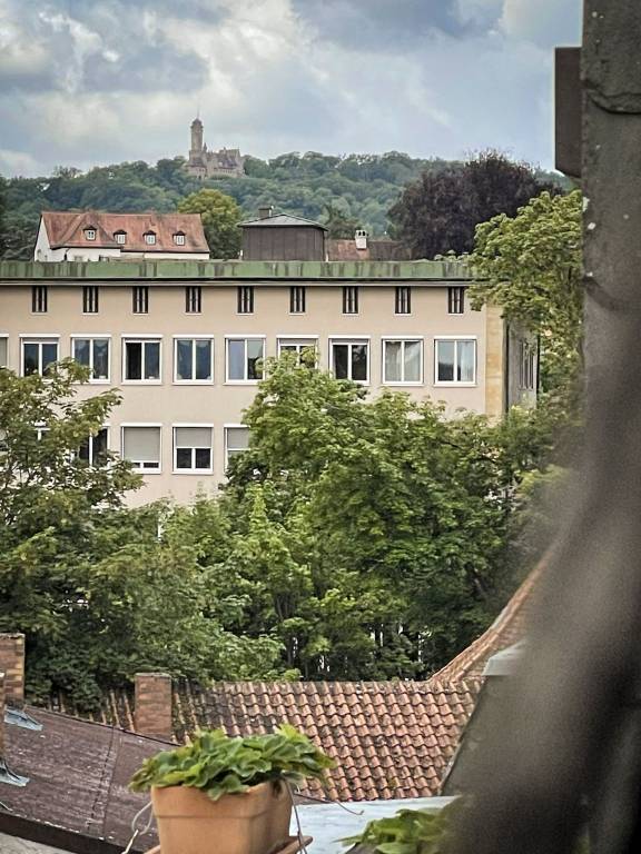 foto11