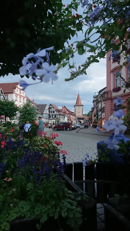 foto28