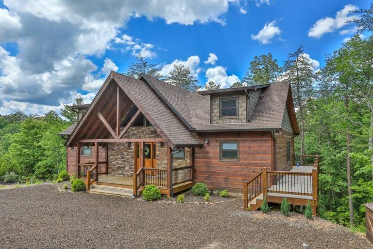 Cabin  Mineral Bluff