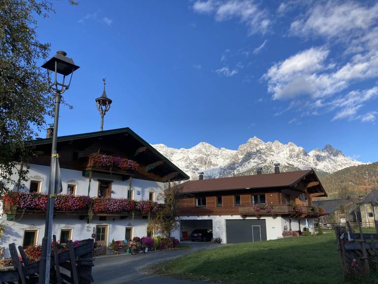 foto40