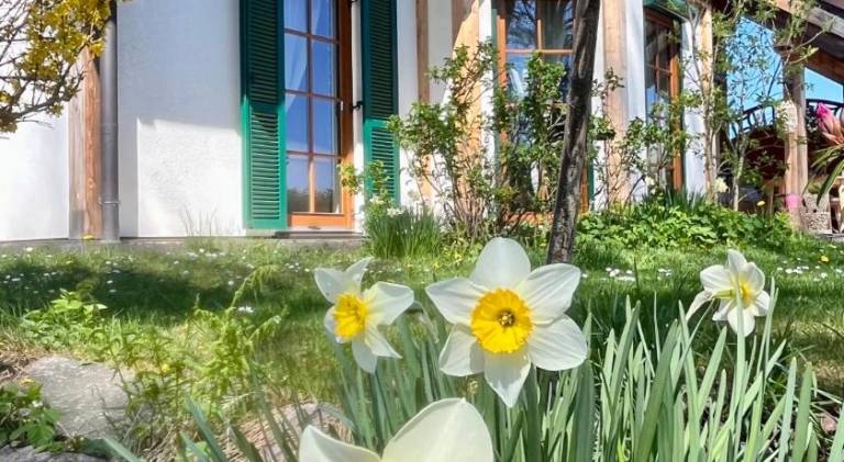 Chalet with 2 rooms for 4 persons in Chemnitz