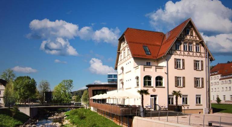 Hotel Villa Hirzel — photo 4