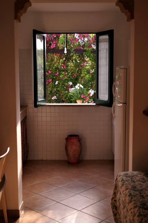 foto17