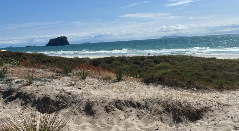 House | Beach nearby | Pets allowed in Tauranga