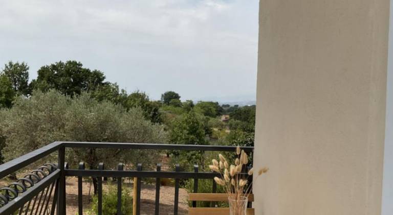 Guar Country Resort — photo 3