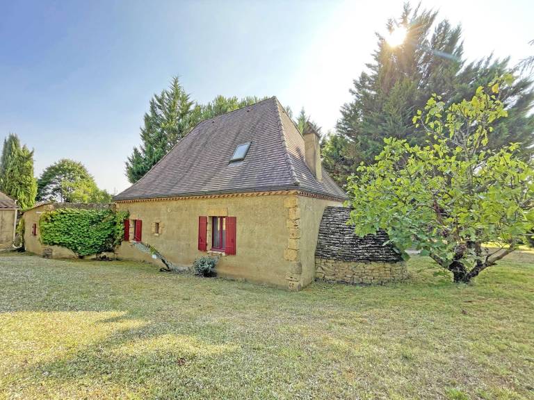 foto1