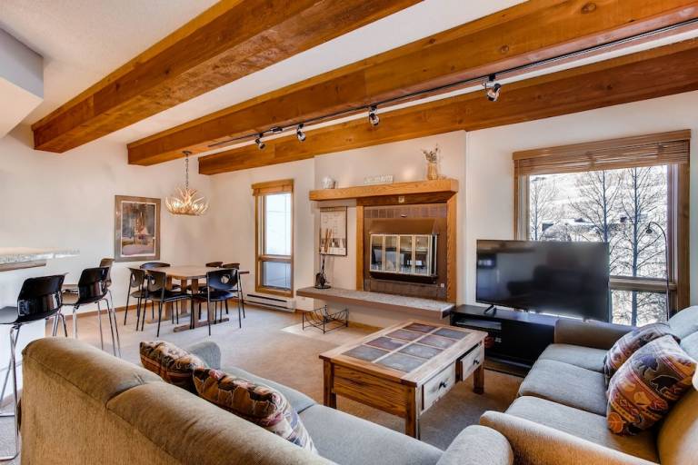 Condo Crested Butte