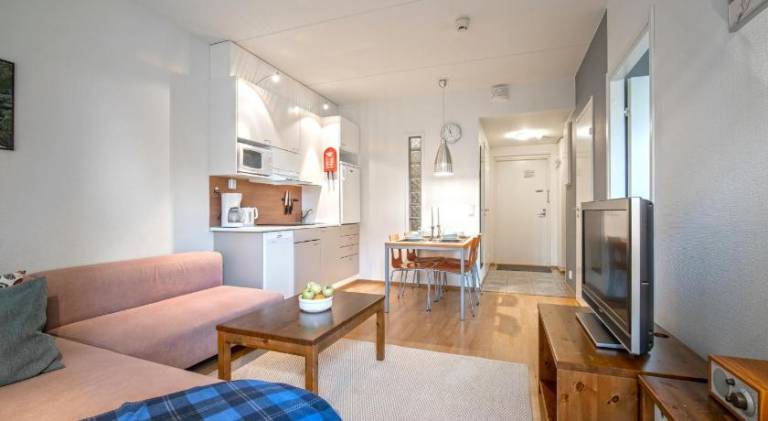 Rental apartment with terrace & sauna — photo 2