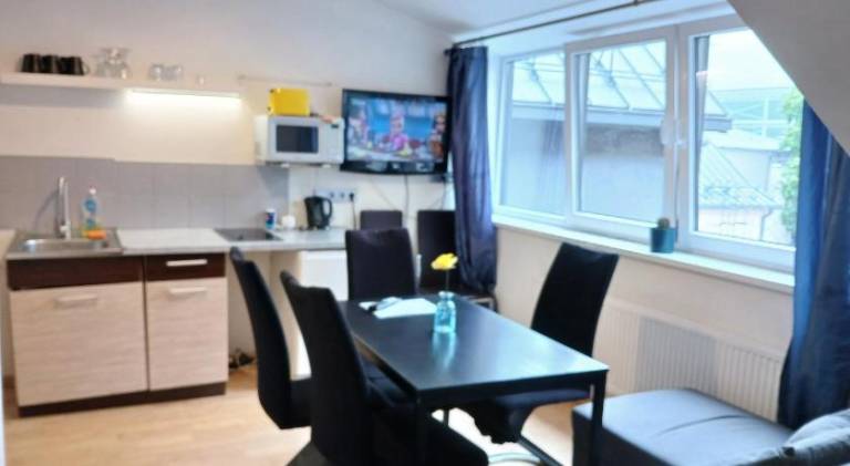 Rental apartment with 1 room for 7 persons in Kaunas