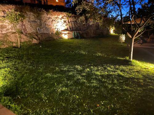 foto11