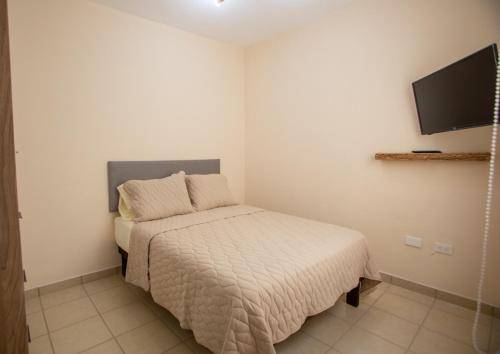 foto16