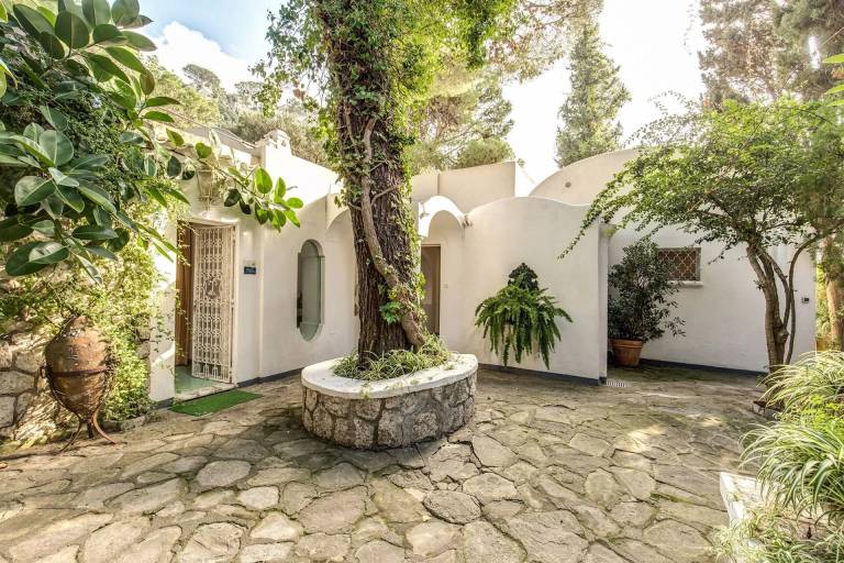 Villa  Capri