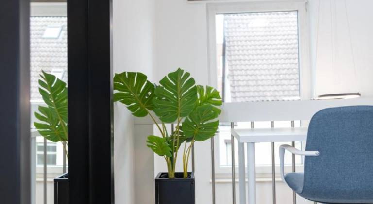 Rental apartment for 4 persons — photo 3