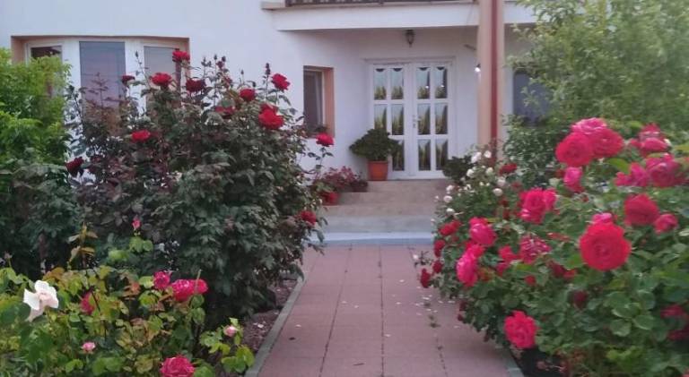foto22