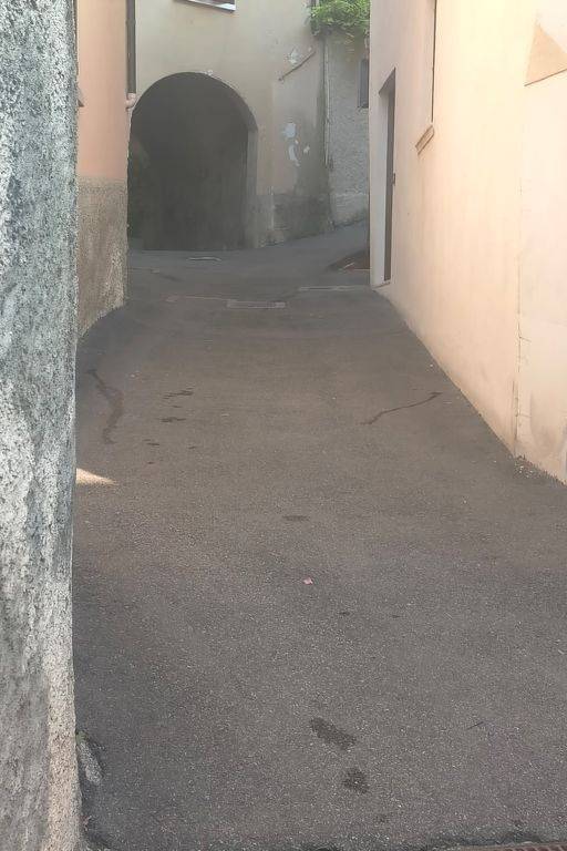 foto40