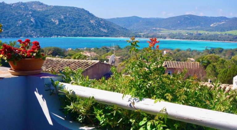 Villa with yard, patio & pool | Pets allowed in Porto-Vecchio