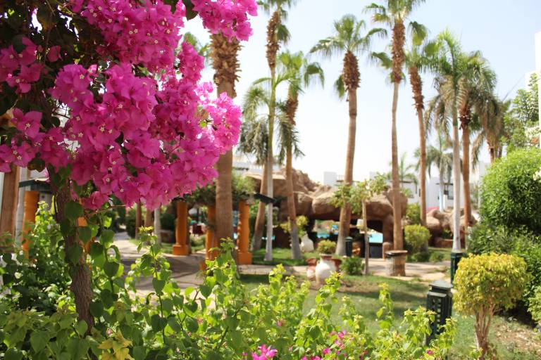 Hostel  Sharm Al Shiekh
