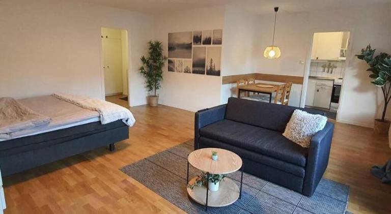 Holiday apartment with yard in Stockholm