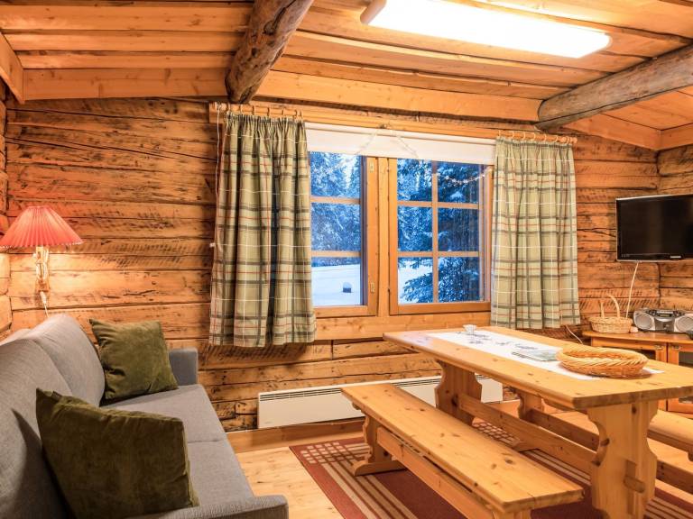 Vacation home with sauna — photo 3